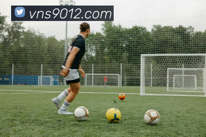 威尼斯娱乐平台APP 封面图